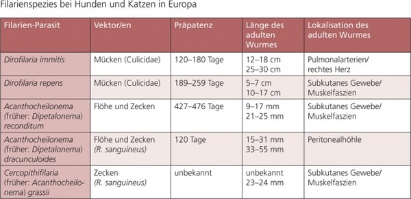 Prednisolon 5mg für tiere hunde katzen