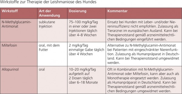 Prednisolon 5mg für tiere hunde katzen